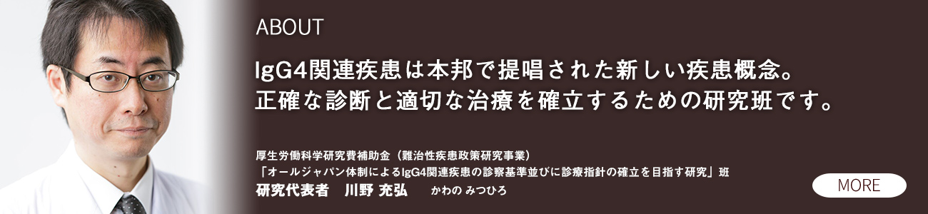 IgG4関連疾患は本邦で提唱された新しい疾患概念。正確な診断と適切な治療を確立するための研究班です。厚生労働科学研究費補助金（難治性疾患政策研究事業）「オールジャパン体制によるIgG4関連疾患の診察基準並びに診療指針の確立を目指す研究」班 研究代表者　川野 充弘　かわの みつひろ